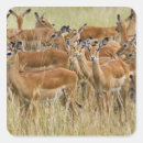 Suche nach herd aufkleber Weiblich