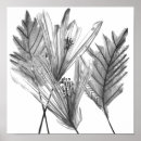 Suche nach silhouetter poster Floral