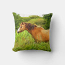 Suche nach pony kissen Tiere
