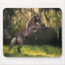 Suche nach prinzen mousepads Pferd