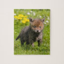 Suche nach wild puzzle Fuchs