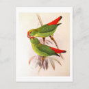 Suche nach hanging poster Kaninchen