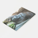 Suche nach nicht meine affen post it Gorilla