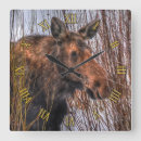 Suche nach elch wanduhren Tierwelt