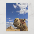 Suche nach chephren poster Menkaure