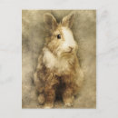 Suche nach vintage kaninchen postkarten Tiere