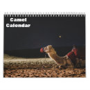 Suche nach kamele kalender Wüste