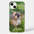 Suche nach pets hüllen Foto
