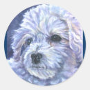 Suche nach bichon aufkleber Welpen