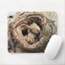 Suche nach eichhörnchen mousepads Wald