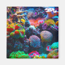 Suche nach bunter magnete Ozean