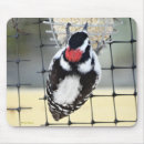 Suche nach spechte mousepads Wildtierfotografie