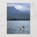 Suche nach hanalei postkarten Hawaii
