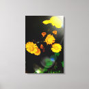 Suche nach wilde blumen leinwandbilder Wildblumen