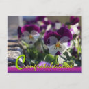 Suche nach tricolor karten Blume