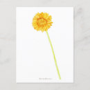 Suche nach gerbera postkarten Botanisch