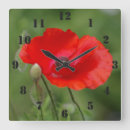 Suche nach red poppy wanduhren Nature