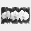 Suche nach weiße orchidee aufkleber Tropisch