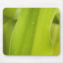 Suche nach hohe bäume mousepads Baum