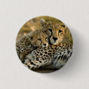 Suche nach kneipe buttons Niedlich
