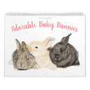 Suche nach hasen kalender Bezaubernd