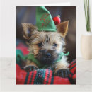 Suche nach cairn terrier karten Weihnachten