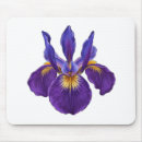 Suche nach iris blume mousepads Botanisch
