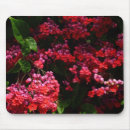 Suche nach fuschia mousepads Magenta