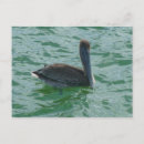 Suche nach gruppe postkarten Natur