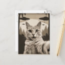 Suche nach sepia postkarten Katze