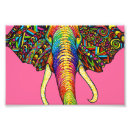 Suche nach alle stämme poster Elefant