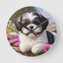 Suche nach shih tzu wanduhren Schicken