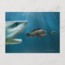 Suche nach für jäger postkarten Natur