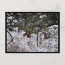 Suche nach hirsch postkarten Bäume