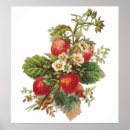 Suche nach vintage erdbeeren poster Natur