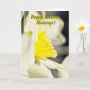 Suche nach gelbe narzissen karten Narzissenblume