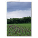 Suche nach getreidefeld postkarten Landschaft