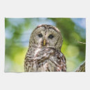 Suche nach raubvogel geschirr tücher Raubvögel