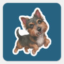Suche nach cairn terrier aufkleber Niedlich