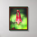 Suche nach rote blumen leinwandbilder Für sie