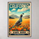 Suche nach qual poster California