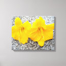 Suche nach gelbe blumen leinwandbilder Couple