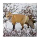 Suche nach felle fliesen Grenze danita