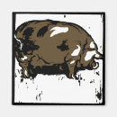 Suche nach eber magnete Schweine