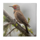 Suche nach washington staat fliesen Usa