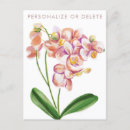 Suche nach vintage orchideen poster Rosa