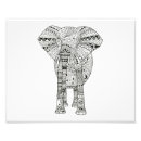 Suche nach coole elefanten poster Wild