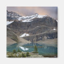 Suche nach yoho nationalpark magnete Baum