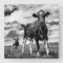 Suche nach black and white photography poster Landscape