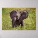 Suche nach kenya poster Marinebasis